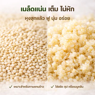 ควินัวขาวแท้ เมล็ดคัดพิเศษ White Quinoa เมล็ดเต็ม สีขาวครีมนวล หุงง่าย 180g 250g 500g 1000g