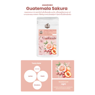 เมล็ดกาแฟคั่วอ่อน Guatemala Sakura Blossom (Exotic coffee)