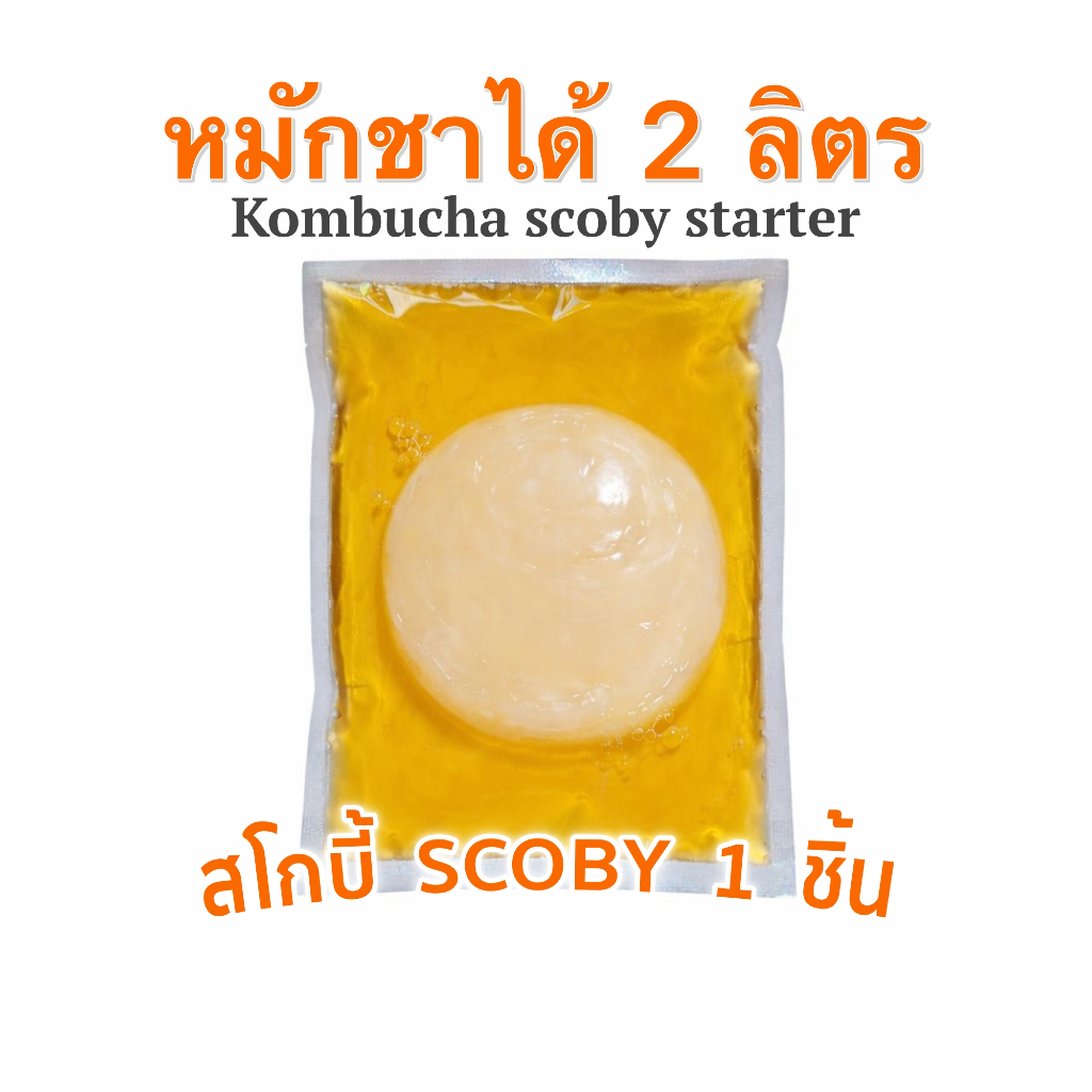 น้ำตั้งต้นหมักคอมบูชะ  หมักได้2ลิตร คอมบูชา ชาหมักคอมบูชา KOMBUCHA STARTER
