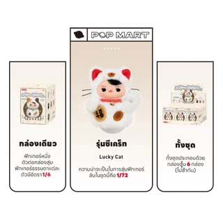 🔥1 กล่องเล็ก🌈 Pucky Roly Poly Kitten พร้อมส่งในไทย🔥 ของแท้ มีหน้าร้าน💛