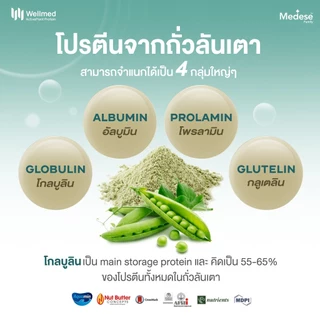 โปรตีนพืช คุณหมอใบเตย **ของแท้** (5 ซอง) Wellmed Active Plant Protein สูตรใหม่อัพเกรด