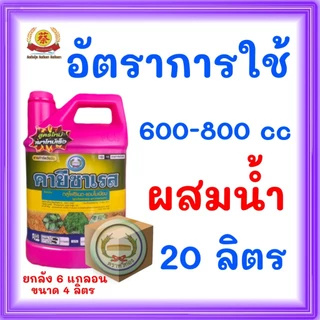 คายีซาเรส *แกลอนชมพู* สูตรเผาไหม้ไว **ยกลัง 6แกลอน**