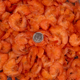 กุ้งบางจืด(คละไซซ์) ติดเปลือก ตัวแบน