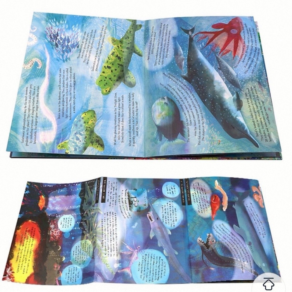 (พร้อมส่ง) หนังสือเด็กภาษาอังกฤษ Look Closer Series – ชุดหนังสือพับกางได้ (Fold-out) ยาวพิเศษ! เปิดโลกกว้างใต้ดิน ท้องฟ้ ราคา ถูกที่สุด ดีลบีเคเค แกลเลอรีภาพที่ 8