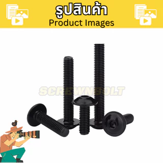 น็อต สกรู หัวจมกลม ติดแหวน ติดจาน สแตนเลส 304 ชุบดำ เกลียวมิล หยาบ M5 M6 M8 M10