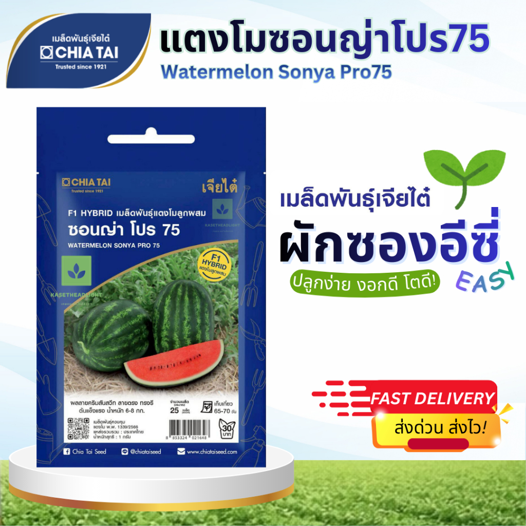 Easy เมล็ดพันธุ์แตงโม ซอนญ่าโปร 75 25เมล็ด Sonya Pro 75 เจียไต๋