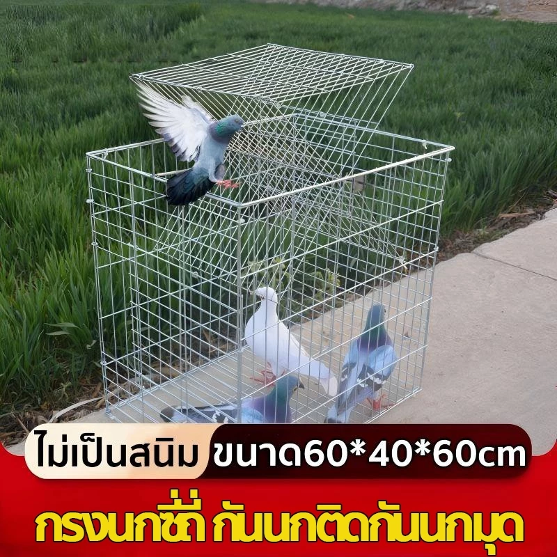 🕊️กรงกับดักนกพิราบ เพนียดดักนก เพนียดดักนก การออกแบบการเข้ารหัสกริด ติดตั้งง่าย ทำความสะอาดง่าย 🕊️