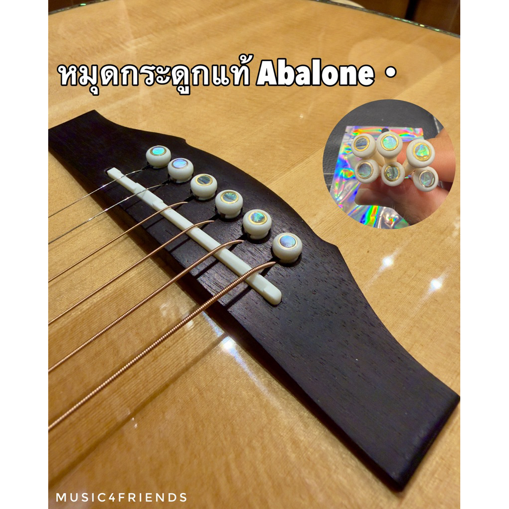 หมุดกระดูกแท้ลายเปลือกหอย Abalone