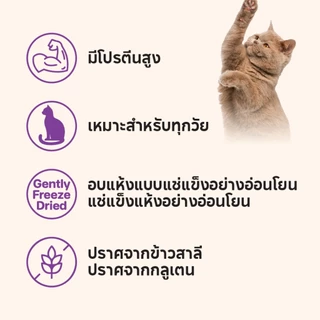 เคลลี่แอนด์โค บุชเชอร์คัต ขนมฟรีซดรายชิ้นฟิลเลย์ สำหรับแมว 55 กรัม