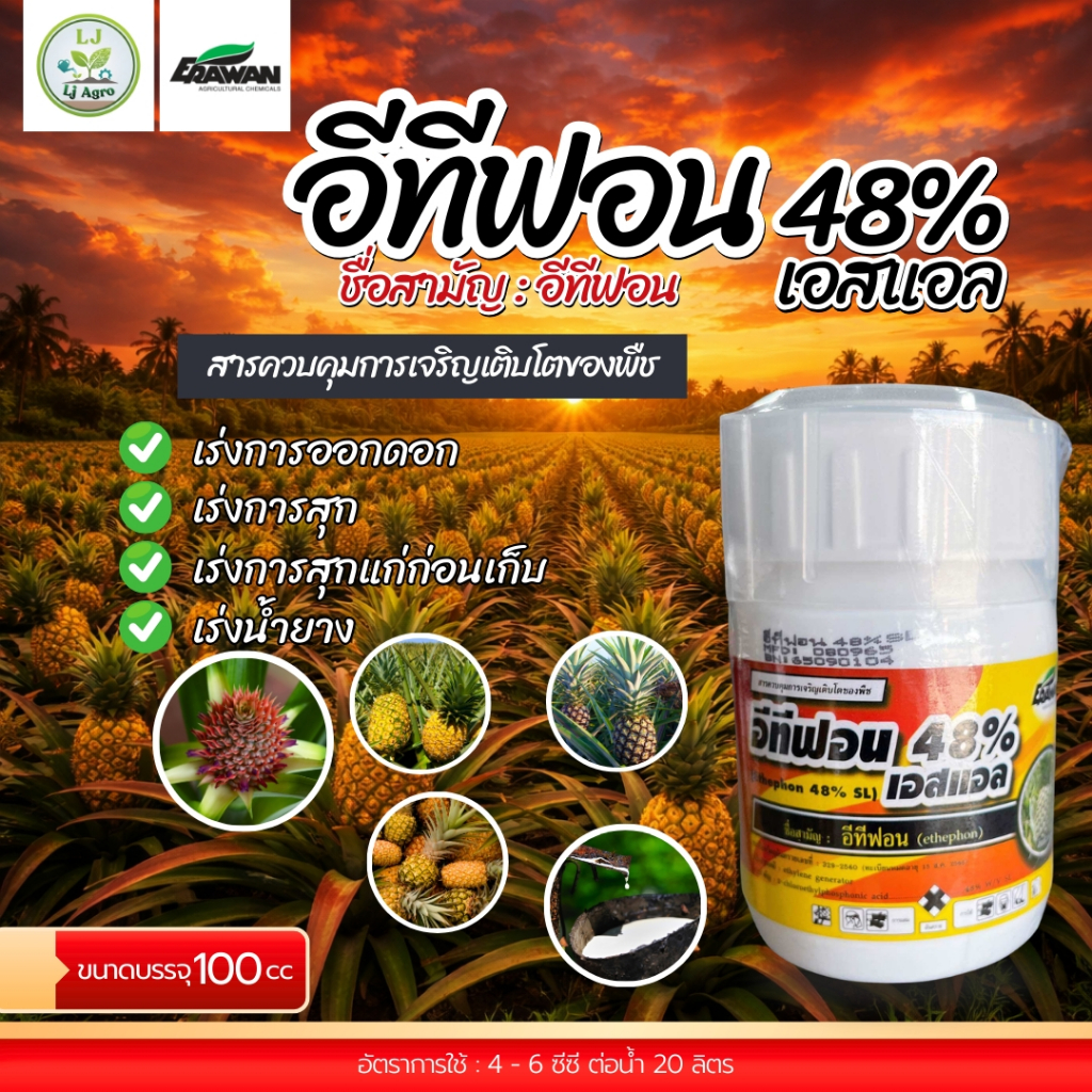 อีทีฟอน 48% ขนาด 100 ซีซี เร่งสุก บ่มผลไม้ ป้ายขั้วเร่งสุก เร่งน้ำยาง (เอราวัณ) #แอลเจอะโกร