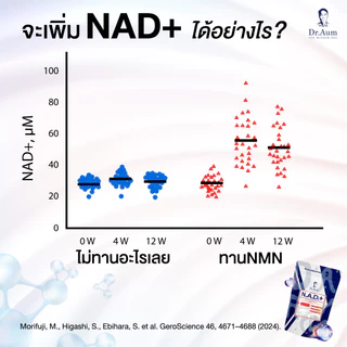 Dr.Aum NAD+ 30 แคปซูล ด็อกเตอร์อั้ม อาหารเสริม NAD+ และ CoQ10 Ubiquinol