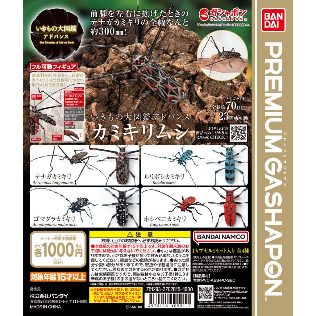 แยก Advanced Longhorn Beetle Gashapon ด้วง กาชาปอง Ikimono Bandai THE DIVERSITY OF LIFE ON EARTH