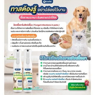 สเปรย์ยับยั้งเชื้อราแมว InnoPet จัดการเชื้อราน้องแมวได้ในขั้นตอนเดียว ลดคัน ลดขนร่วง อ่อนโยน ปลอดภัย ไม่แต่งสีและกลิ่น