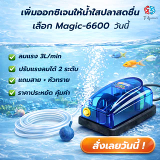 ปั้มลม ปั้มออกซิเจน 1 ทาง Magic 6600 สำหรับเลี้ยงกุ้งปลา คุณภาพดี แข็งแรงทนทาน (แถมสายอ๊อก 3m หัวทราย 1หัว)