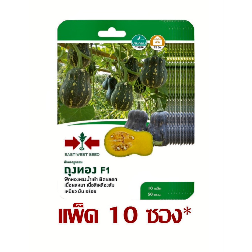 ฟักทองลูกผสม ถุงทอง F1 10 เมล็ด ศรแดง (ยกแพ็ค 10 ซอง)