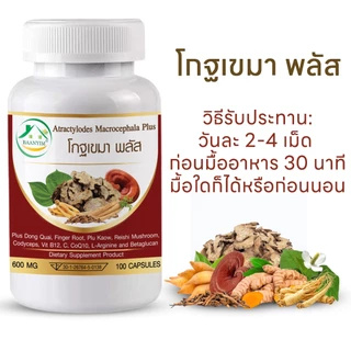 โกฐเขมา พลัส ตรา บ้านยิ้ม แป๊ะตุก/ชังตุ๊ก Atractylodes Macrocephala Plus ขนาด 600 มก. 100 แคปซูล