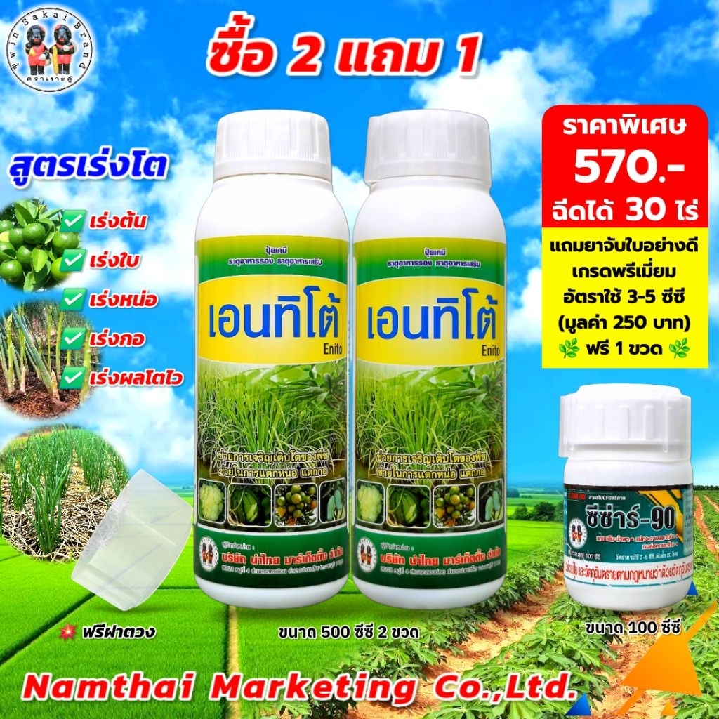 ตราเงาะคู่ เอนทิโต้ เร่งราก เร่งต้น เร่งหน่อ เร่งแตกกอ เร่งใบ ขยายผลโตไว[2 แถม 1]