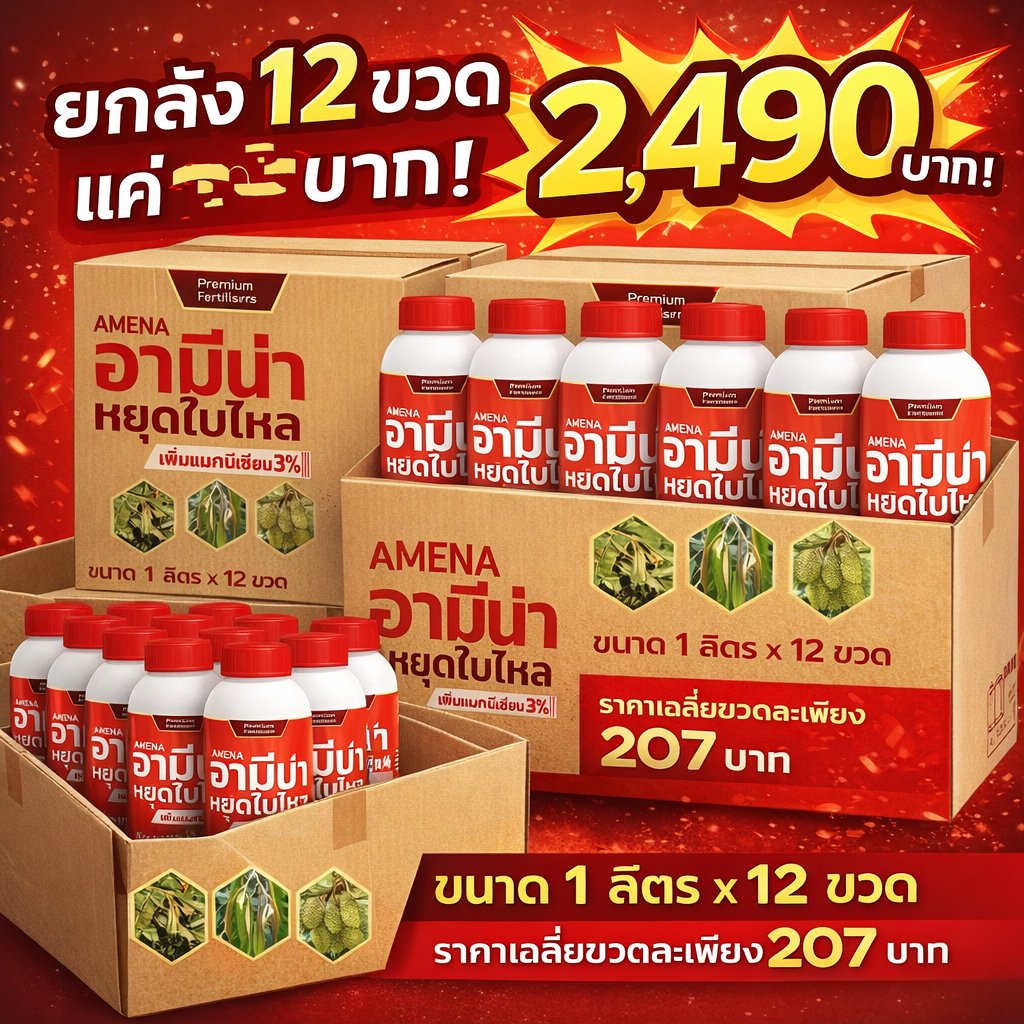 หยุดใบไหล เพิ่มแมกนีเซียม 3% ปุ๋ยเสริมธาตุอาหารพืช ช่วยแก้ปัญหาใบอ่อน ใบไหล ใบร่วง ยกลัง12ขวด