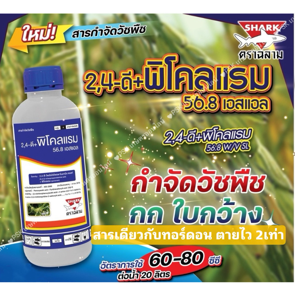 2,4ดี+พิโคลแรม ฉลาม สารเดียวกับทอร์ดอน ขนาด 1 ลิตรสารกำจัดวัชพืชใบแคบใบกว้างในนาข้าว อ้อย  ยากำจัดหญ้า