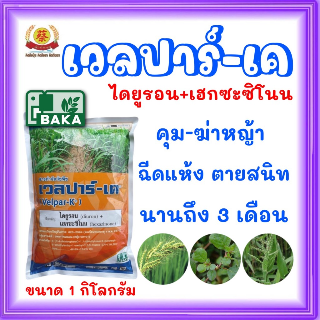 เวลปาร์-เค ออกฤิทธิ์แบบ คุมและ ฆ่าหญ้า ในไร่อ้อย ขนาด 1กิโลกรัม