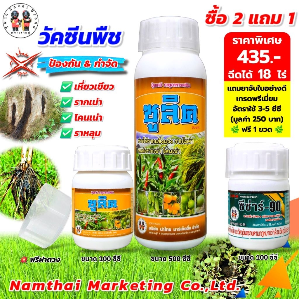 ตราเงาะคู่ ซูลิค ป้องกัน รากเน่า โคนเน่า เน่าคอดิน เหี่ยวเขียว รากดำ ไม่กินปุ๋ย