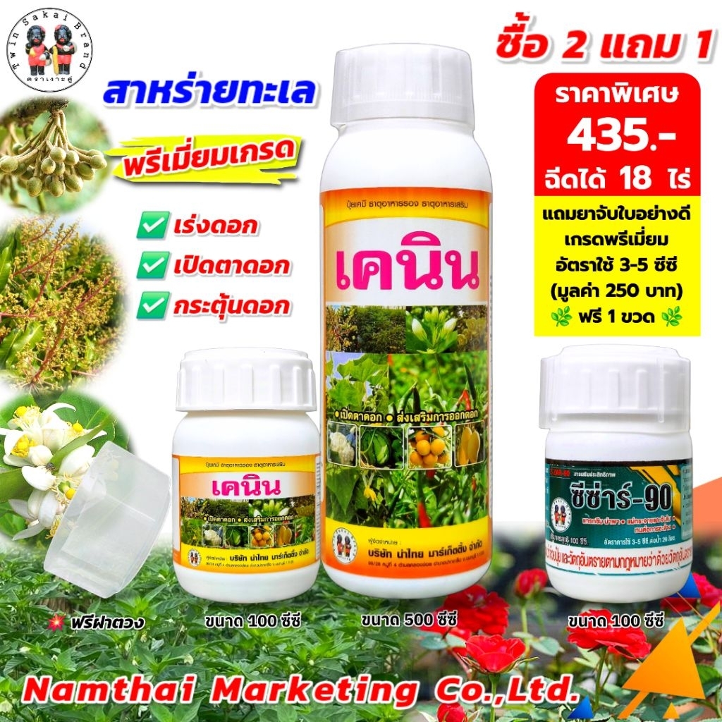 [2 แถม 1] ตราเงาะคู่ เคนิน สาหร่ายทะเล ฮอร์โมนเร่งดอก เปิดตาดอก กระตุ้นดอกนอกฤดู