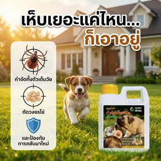 [ขายดี] กำจัดเห็บหมัดสุนัข บุญรอดฟาร์ม สมุนไพรสูตรเข้มข้น ป้องกันการกลับมา