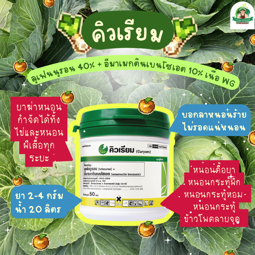 คิวเรียม 50 กรัม ซินเจนทา ยาฆ่าหนอนดื้อยา หนอนกระทู้ ไข่หนอนผีเสื้อ