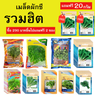 เมล็ดผักชี ถุงใหญ่ ซื้อยอด 290 บาทขึ้นไปแถมฟรี เมล็ดผักชีเจียไต๋ จำนวน 2 ซอง