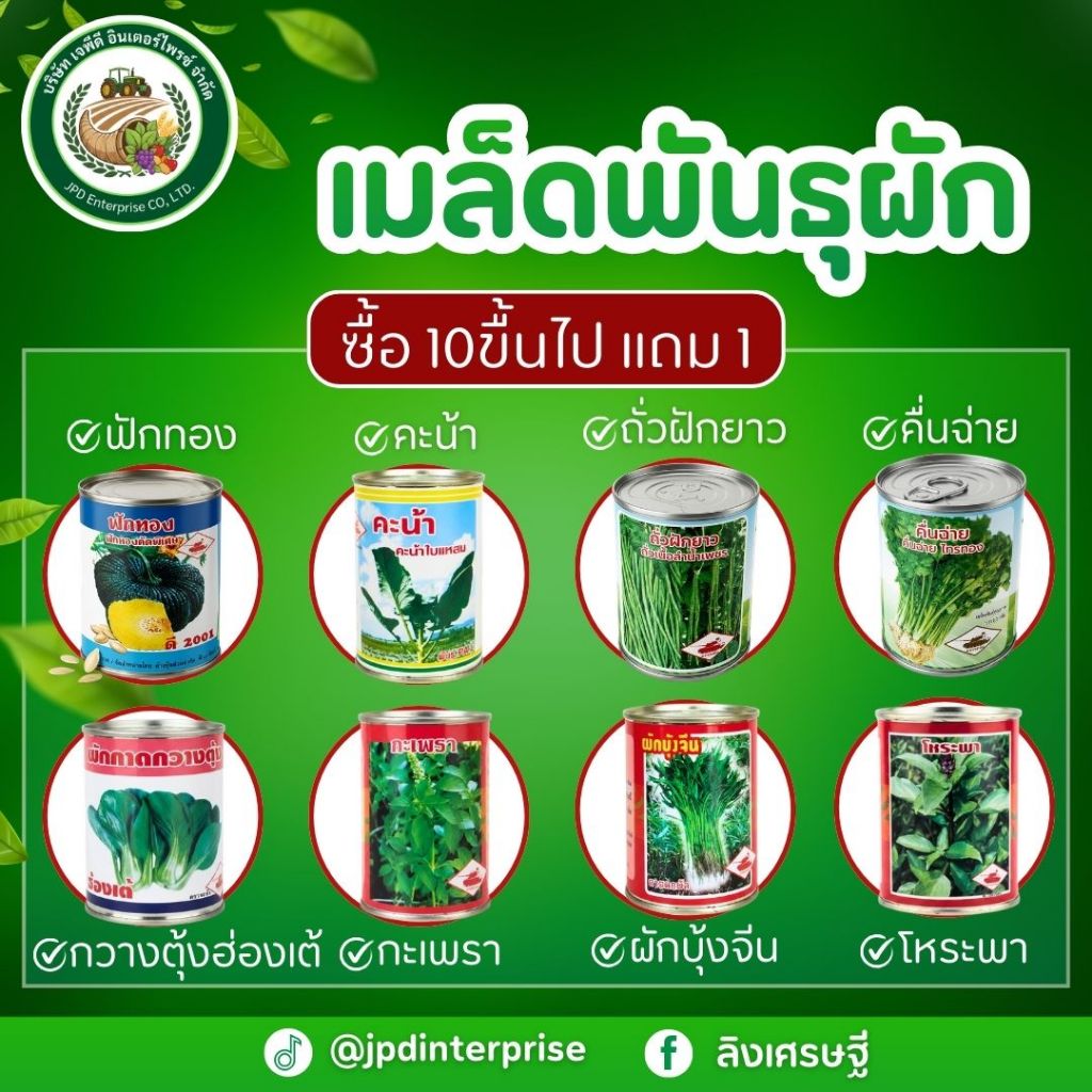 💥 เมล็ดพันธุ์ ตรารถถัง รากเเรง💥10เเถม1💥กระป๋อง  🌱300  -2000เมล็ดพืชผักสวนครัว การันตีอัตรางอก