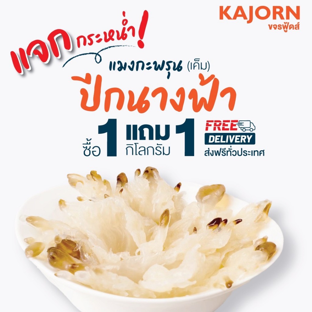 (ส่งฟรี)ขาแมงกะพรุน(ปีกนางฟ้า)KAJORN ขจรฟู้ดส์