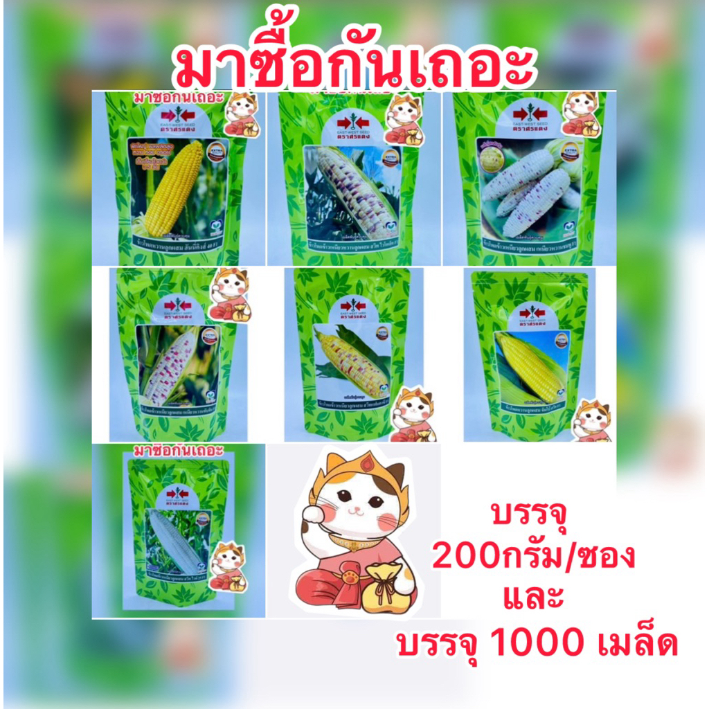 สวีทไวโอเล็ท เหนียวหวานชมพู เหนียวหวานทับทิม สวีทแฟนตาซี จัมโบ้สวีท สวีทไวท์ ข้าวโพดศรแดง บรรจุ1000เมล็ด,500และ200กรัม/ซ