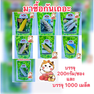 สวีทไวโอเล็ท เหนียวหวานชมพู เหนียวหวานทับทิม สวีทแฟนตาซี จัมโบ้สวีท สวีทไวท์ ข้าวโพดศรแดง บรรจุ1000เมล็ด,500และ200กรัม/ซ