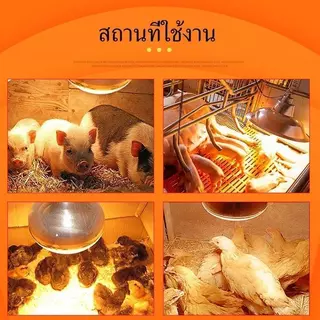 【HS】จัดส่งฟรี! ไฟกกสัตว์ ขั้ว E27 100W/275W ร้อนเร็ว กระจายความร้อนดี หลอดไฟอินฟาเรด กันระเบิด กกไก่/สุนัข ปลอดภัย คุณภา