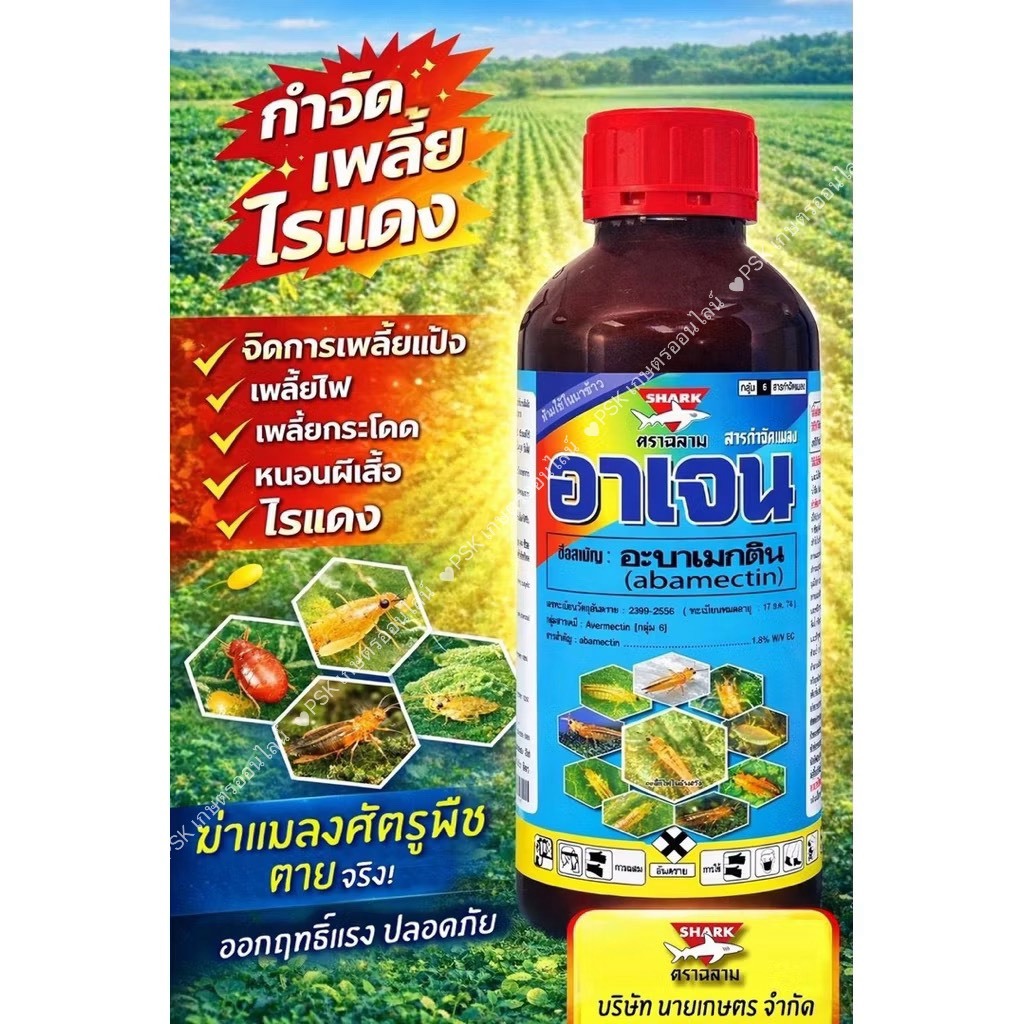 🦗สูตรพิเศษ (อะบาเมกติน)  ยากำจัดแมลง อาเจน น้ำใส (ฉลาม) ขนาด 100/500/1000 มล. ยากำจัดแมลง หนอนเจาะ เพลี้ย