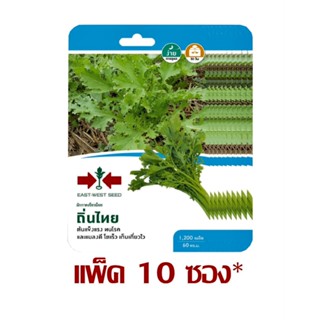 เมล็ดผักกาดเขียวน้อย ถิ่นไทย 1,200เมล็ด ศรแดง (ยกแพ็ค 10 ซอง…