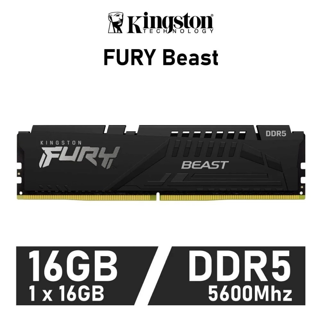 16GB (16GBx1) DDR5 5600MHz RAM (แรมพีซี) KINGSTON FURY BEAST (KF556C40BB-16)