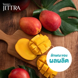 จิตตรา ต้นพันธุ์มะม่วงไข่พระอาทิตย์ เออร์วิน ไทโยโนทามาโกะ เสียบยอดสูง 60-80 ซม. โตไว ให้ผลเร็ว
