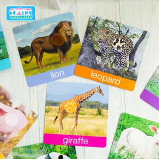 BrainyToys แฟลชการ์ดเพื่อนสัตว์ขนนุ่มขนฟู มีขนสัตว์ทุกแผ่น พร้อมคำศัพท์ 3 ภาษา ฝึกเขียนได้ (15 แผ่น)
