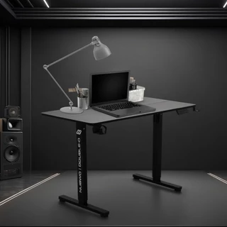 [ประกัน 1ปี] NUBWO NDO-02 โต๊ะปรับระดับไฟฟ้า โต๊ะทำงาน Gaming Desk มี 4 สี รองรับใช้งานได้ทั้งนั่งและยืน ฟังก์ชั่นครบ