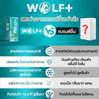 วูล์ฟพลัส wolf+ 1 กล่องมี 5 ซอง(กลิ่นมินท์)