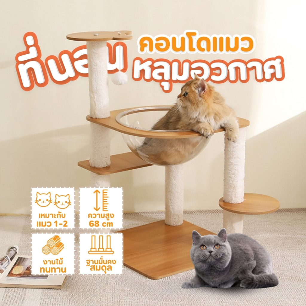 คอนโดแมวสไตล์มินิมอล รุ่น M3/M4 โครงสร้างไม้แข็งแรง เสาลับเล็บหุ้มเชือกหนา