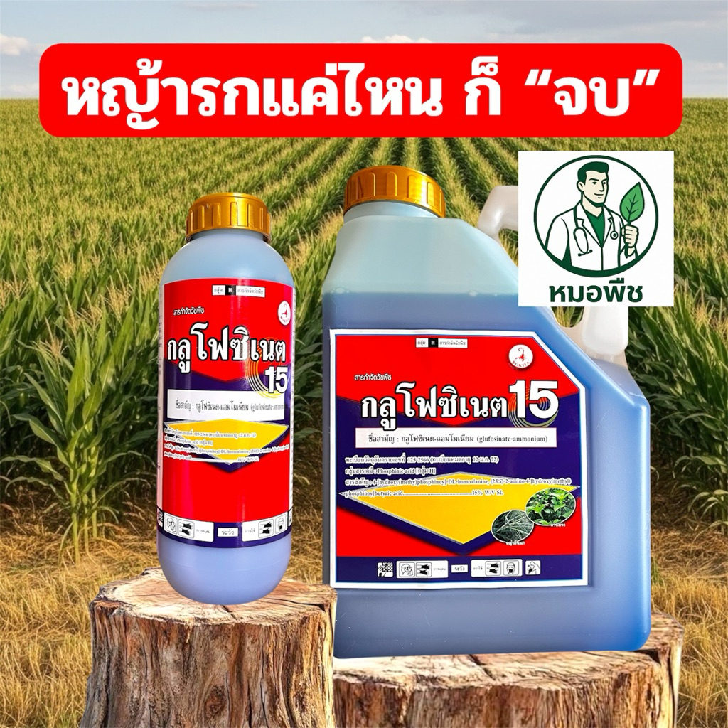 กลูโฟซิเนต 15% (Glufosinate) สูตรเข้มข้น คุมอยู่หมัด ขนาด 1 ลิตร/ 4 ลิตร ยาฆ่าหญ้า กำจัดหญ้าสวนผลไม้ พืชไร่ ยาง ปาล์ม