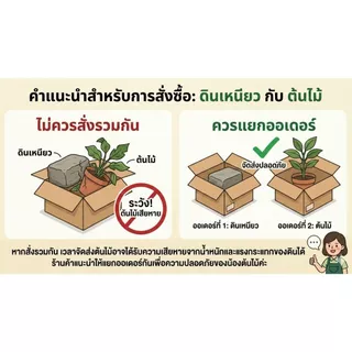 ดินเหนียว สำหรับปลูกบัว ไม้น้ำ โคโลคาเซีย
