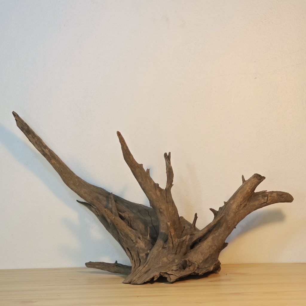 (เลือกได้) กิ่งไม้ ตกแต่งตู้ปลา กิ่งไม้ขนาดใหญ่ L และ XL Natural Driftwood ขอนไม้ธรรมชาติ ขอนไม้ แท้ ไม้ตกแต่งตู้ปลา