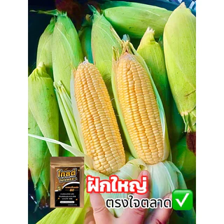 โกลด์ไบโอพลัส สูตรเร่งน้ำหนัก ไซส์จัมโบ้ ระเบิดไซส์ น้ำหนักดี สีสวย