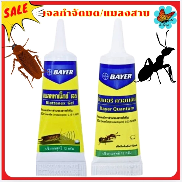 ส่งด่วน🎯 Bayer เจลกำจัดมด / เจลกำจัดแมลงสาบ 12 กรัม เบเยอร์ เหยื่อ กำจัดมด กำจัดแมลงสาบ
