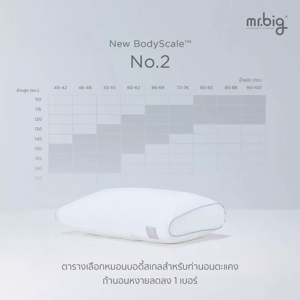 mr.big BodyScale Pillow หมอนหนุน Ergonomic เลือกตามน้ำหนัก/ส่วนสูง/ท่านอน ออกแบบโดยนักกายภาพบำบัดโดยข้อมูลจากสรีระคนไทย thumbnail 5