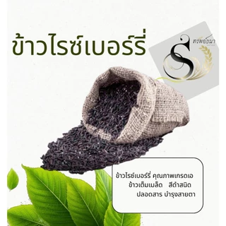 ข้าวไรซ์เบอรี่ ข้าวดำเอ กระสอบ 5 กิโลกรัม ข้าวใหม่ ข้าวถูกอร่อย