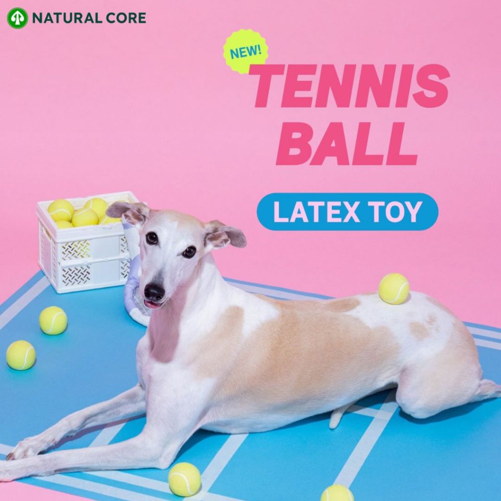 Natural Core Latex Tennis Ball ของเล่นลูกเทนนิสลาเท็กซ์มินิ สำหรับสุนัข
